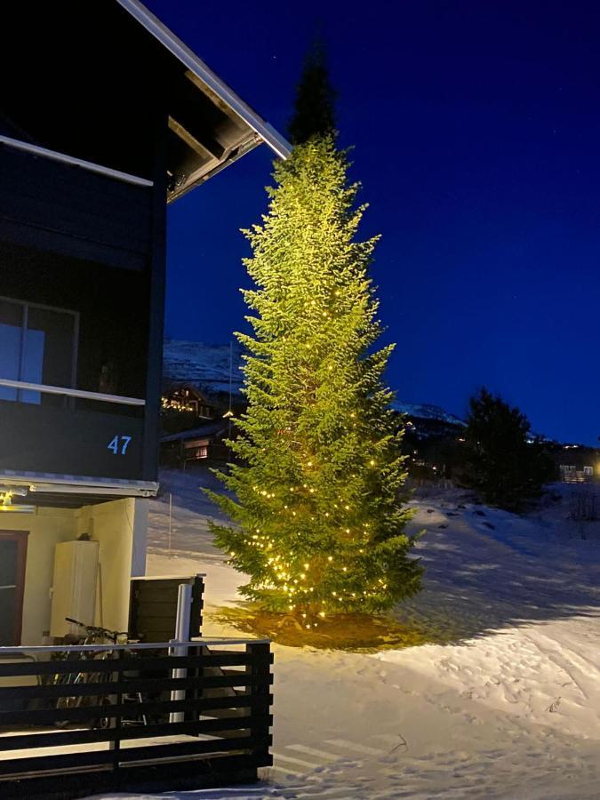 Privat Studio Leilighet, Oppdal Stolen-Skisenter Exterior foto